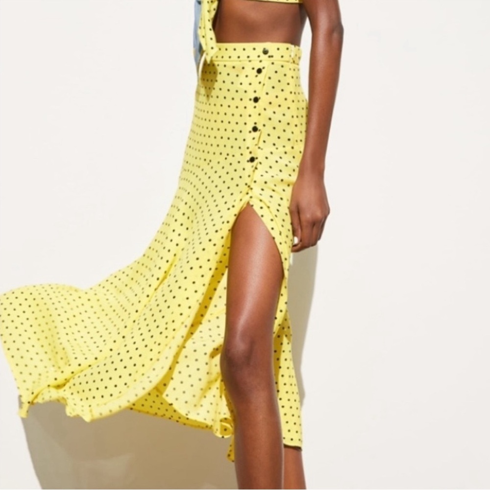 Zara Polka Dot Skirt